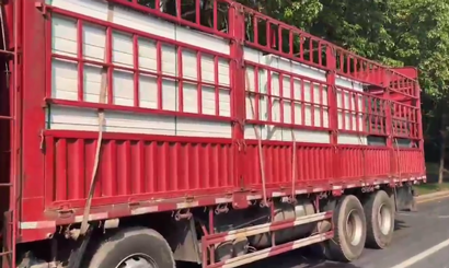 旭東PVC圍擋批發(fā)直供龍崗工地，2500米圍擋當(dāng)天閃電送達(dá)